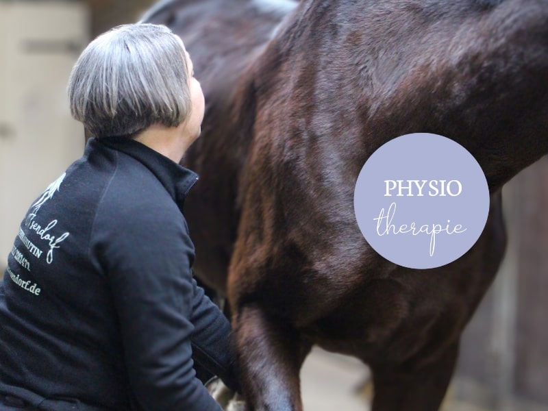 Sandra-Asendorf-Pferdephysiotherapie-Pferdeosteopathie-Pferdebehandlung-Kreis-Lippe