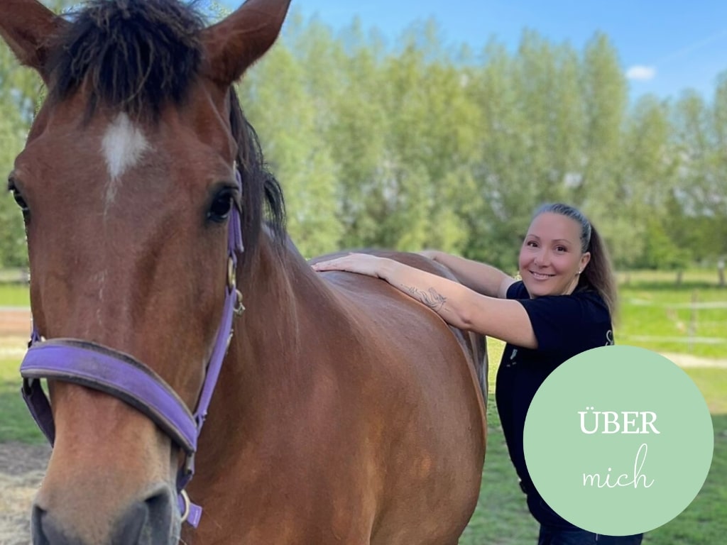 Sandra-Asendorf-Pferdephysiotherapie-Ueber-mich-Pferdebehandlung-Meine-Werte-Pferdetherapie-Kreis-Lippe