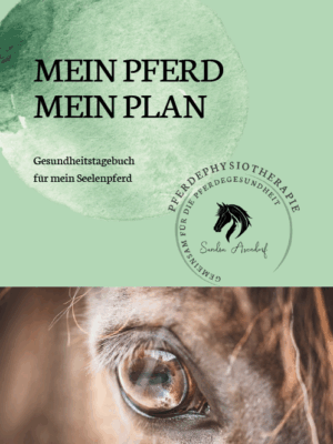 Mein Pferd - Mein Plan - EBook
