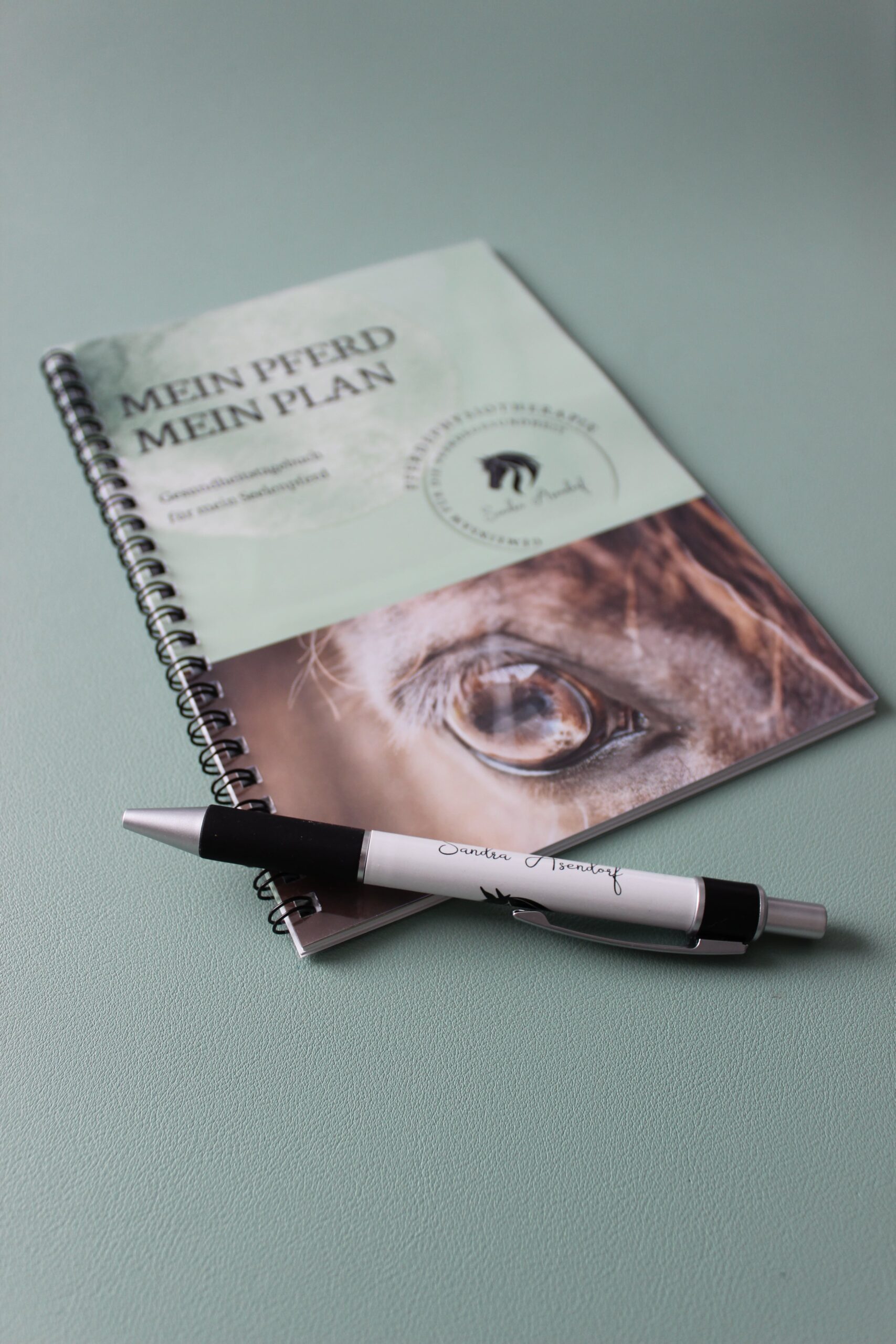 Mein Pferd - Mein Plan