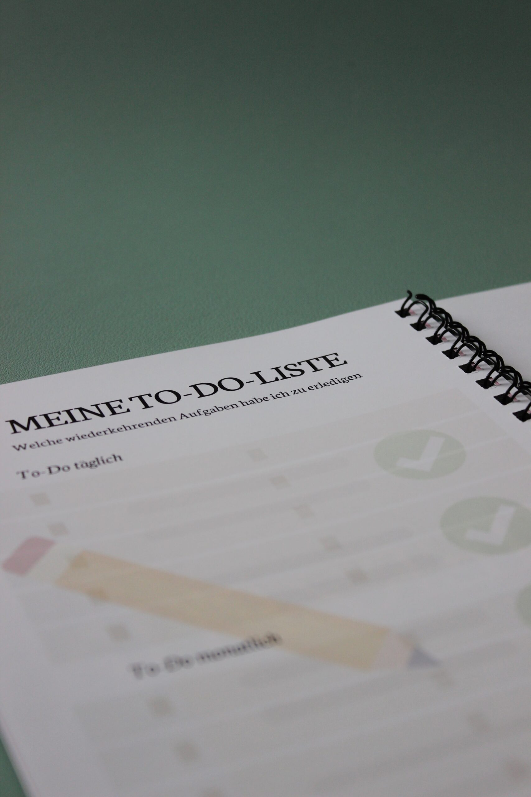 Mein Pferd - Mein Plan – Bild 9