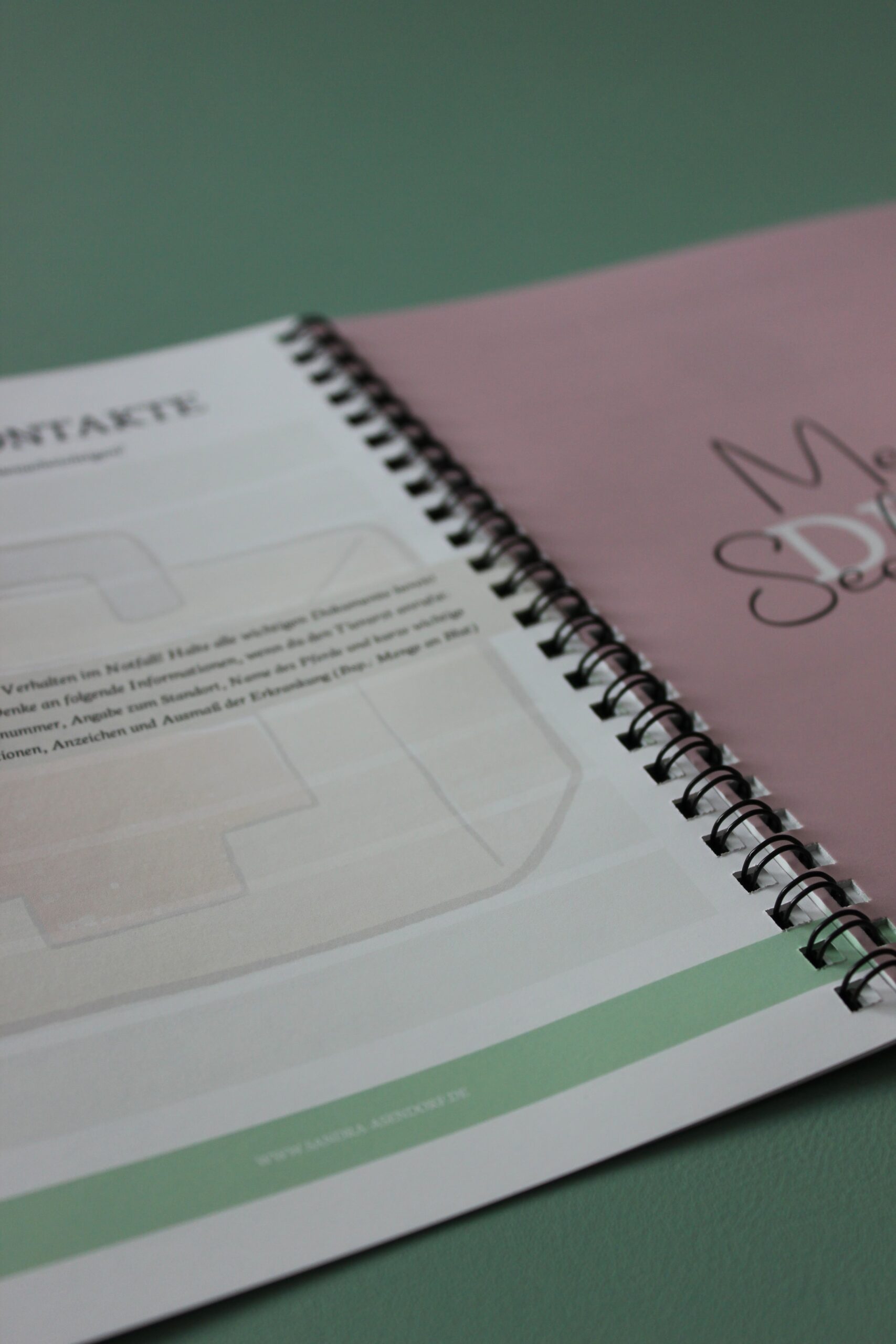 Mein Pferd - Mein Plan – Bild 3