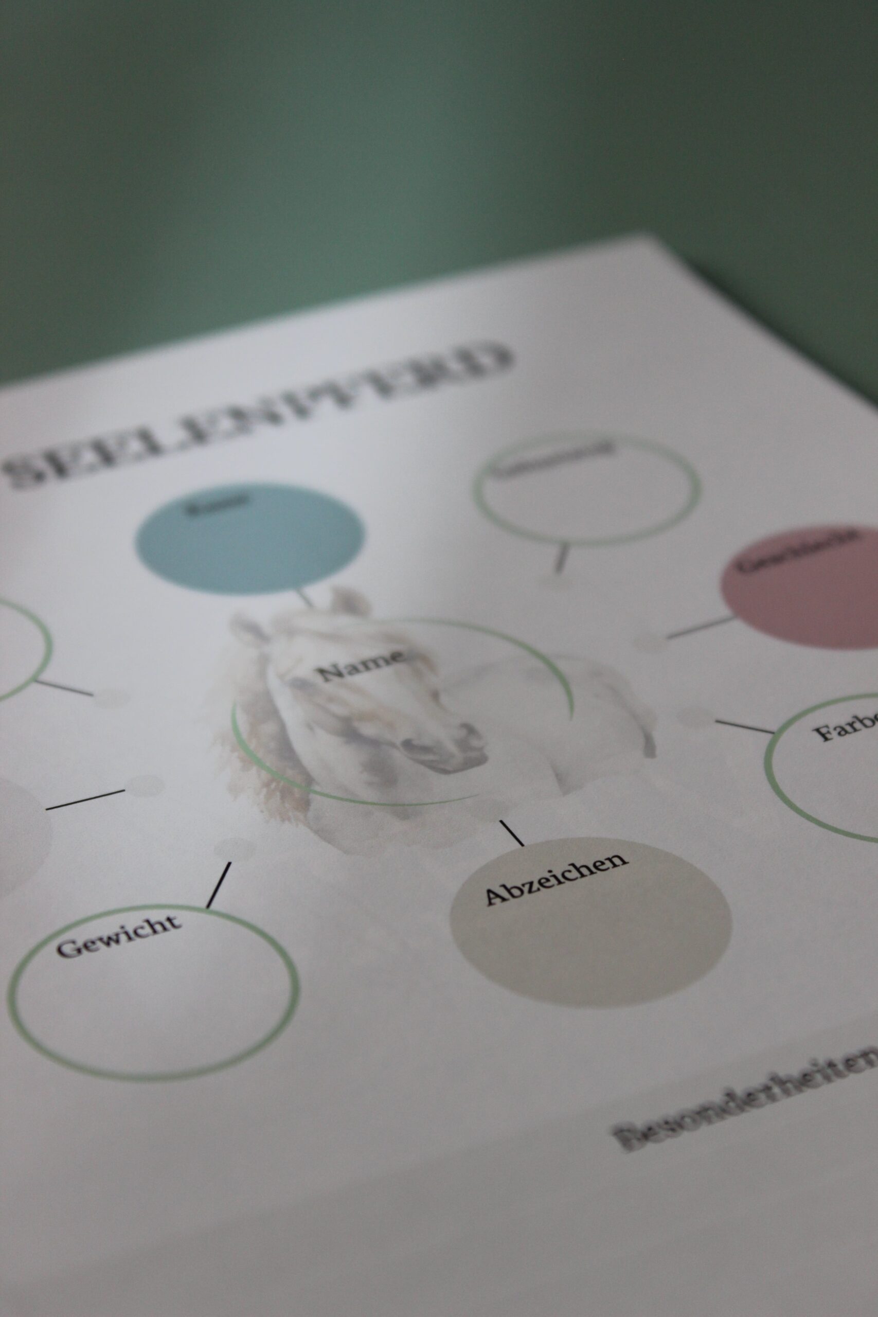 Mein Pferd - Mein Plan – Bild 5