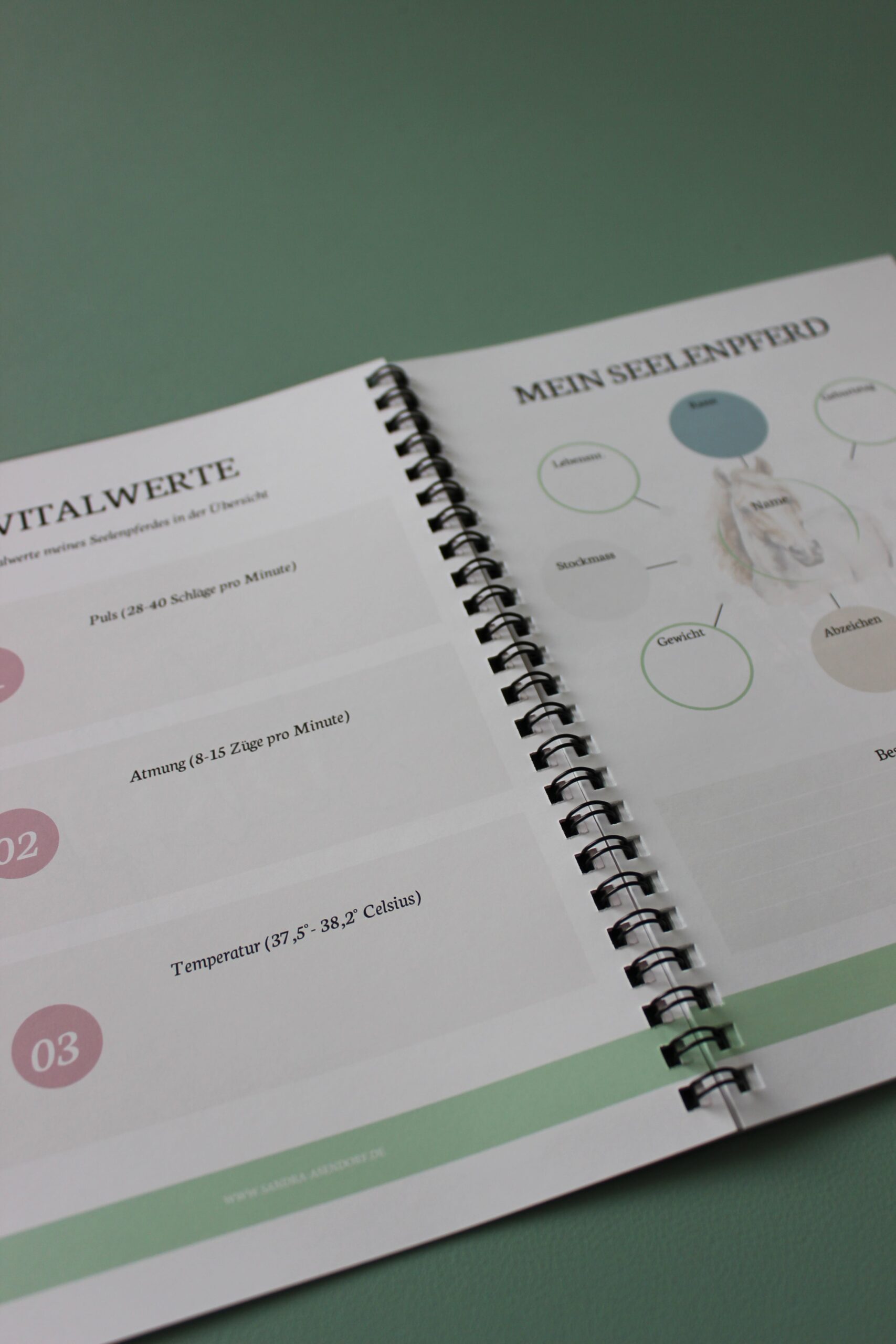 Mein Pferd - Mein Plan – Bild 4