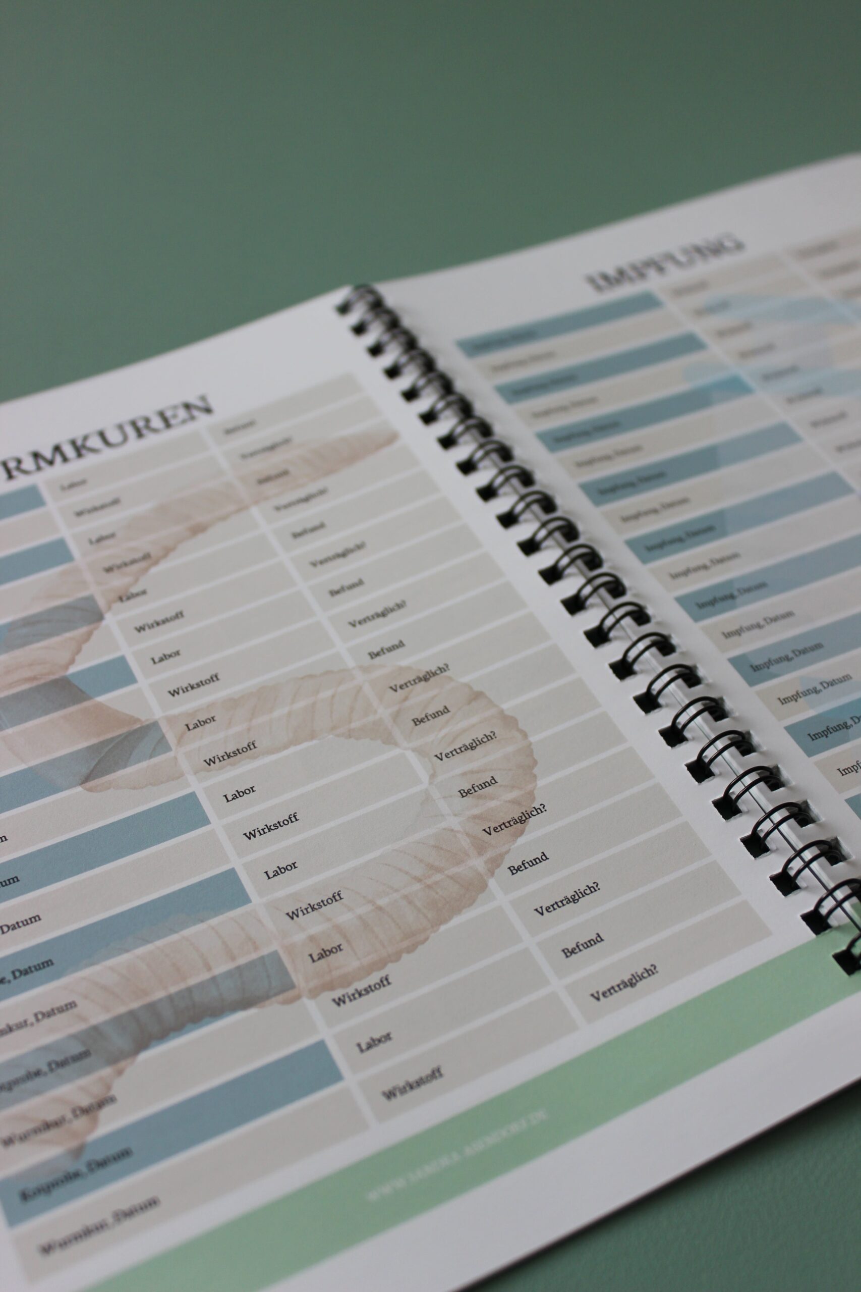 Mein Pferd - Mein Plan – Bild 6