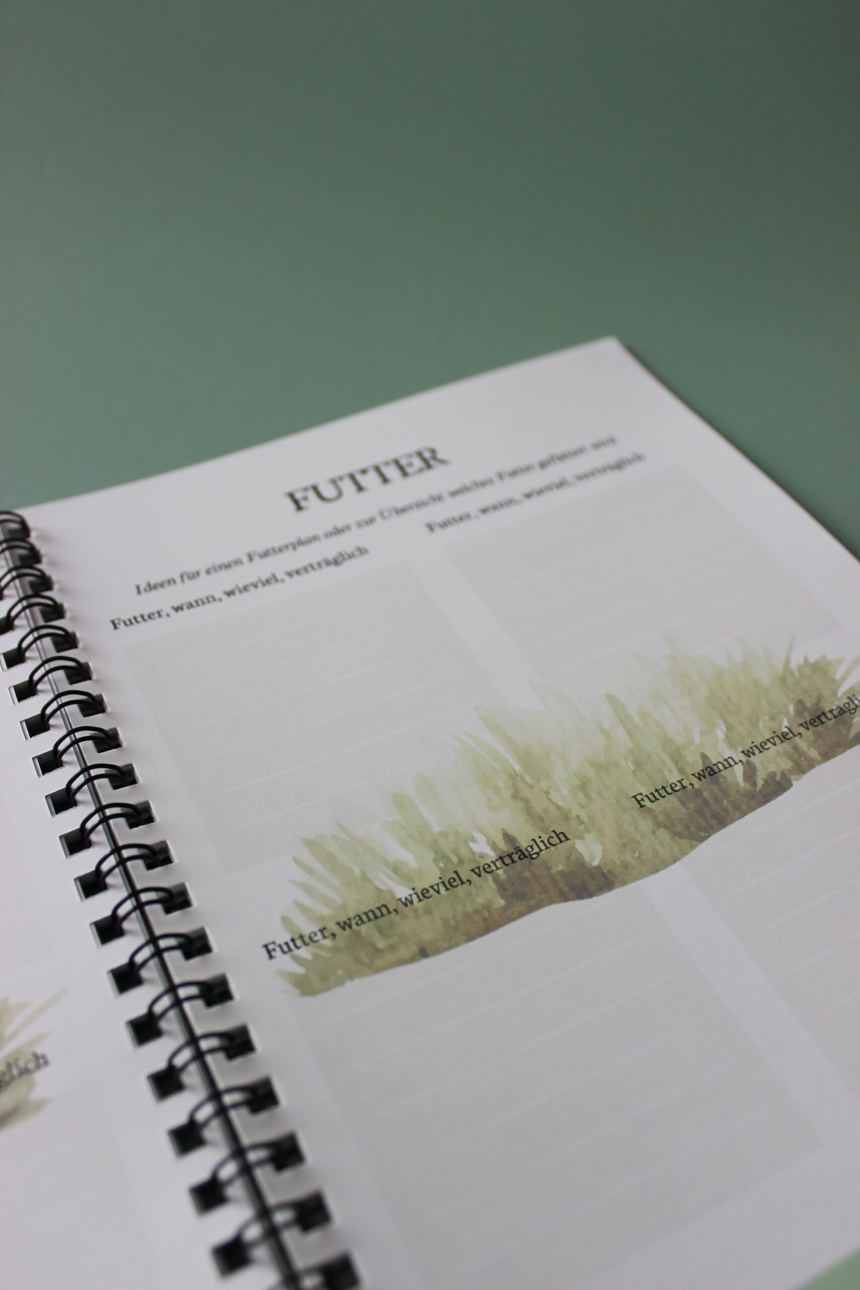 Mein Pferd - Mein Plan – Bild 7