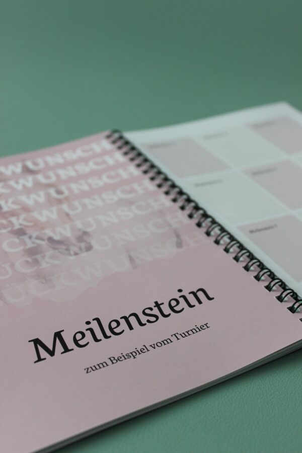 Mein Pferd - Mein Plan – Bild 8