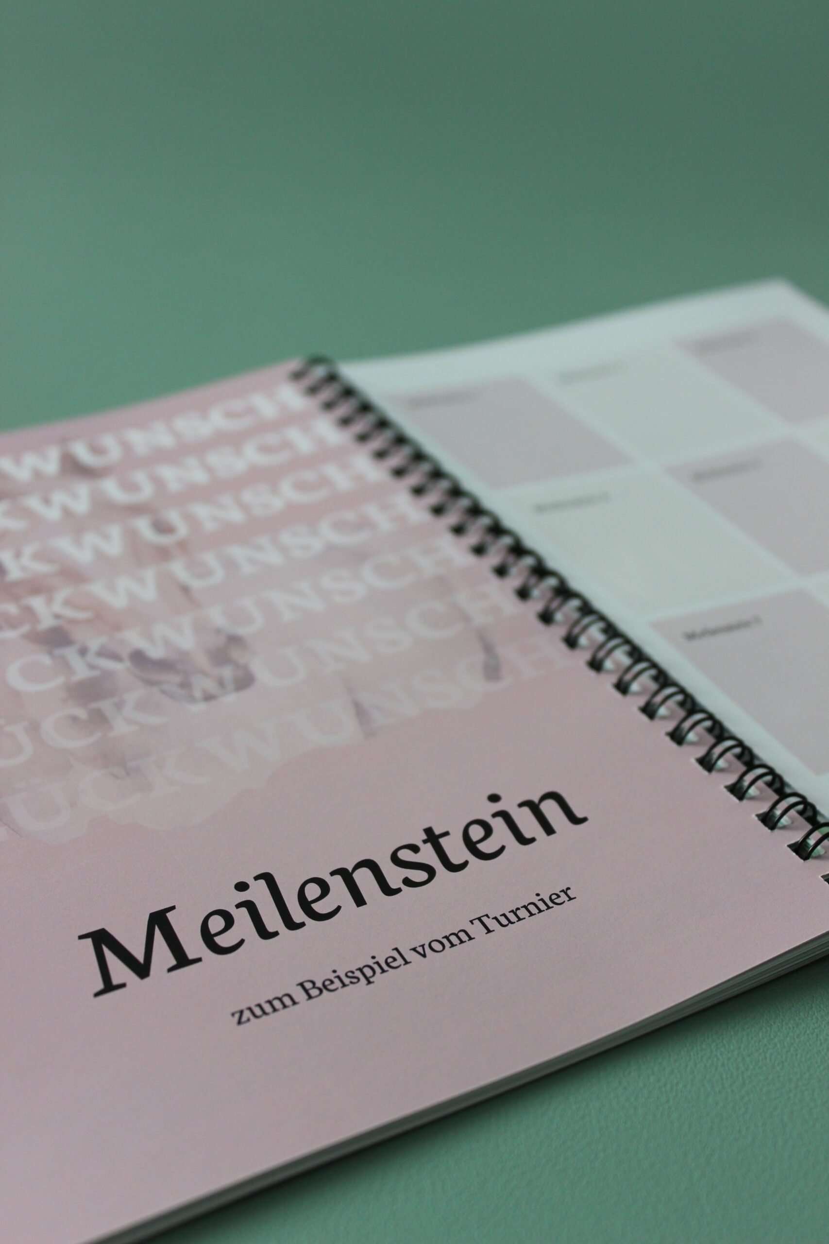 Mein Pferd - Mein Plan – Bild 8